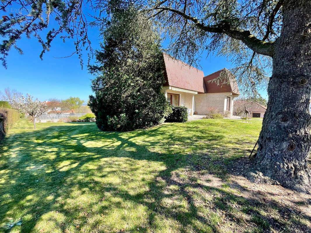Maison à COMMELLE-VERNAY