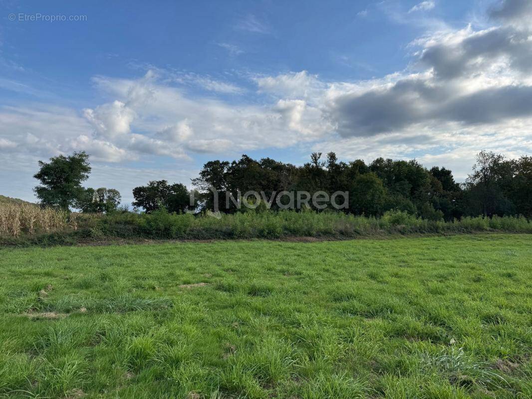 Terrain à SOUMOULOU