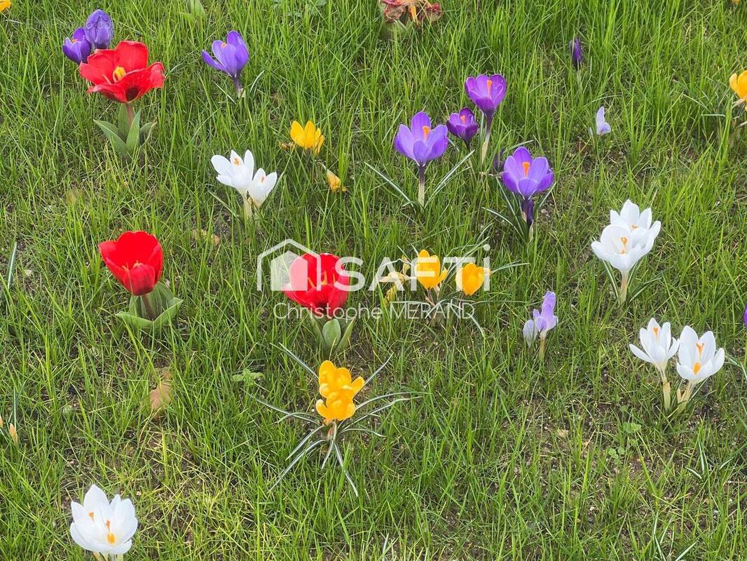 Photo 1 - Terrain à DANGE-SAINT-ROMAIN