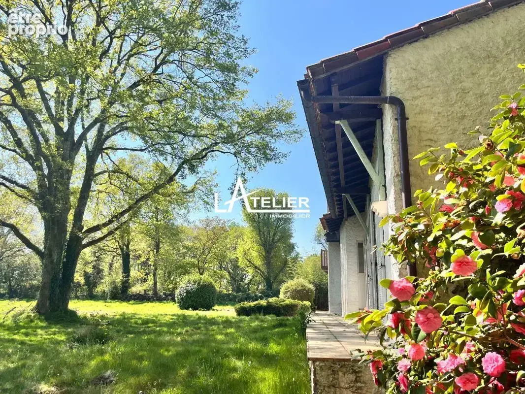 Propriété de charme, atypique, espace et potentiel - photo 5