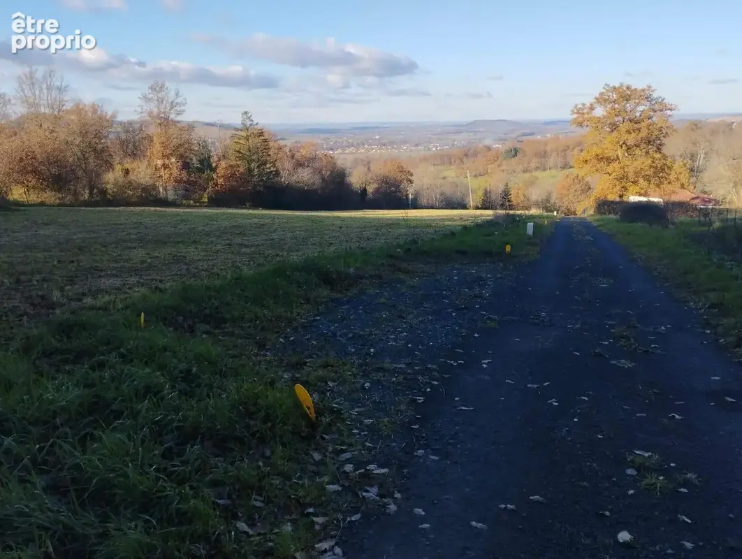 Photo Terrain à Montmorin au prix de 48 000€
