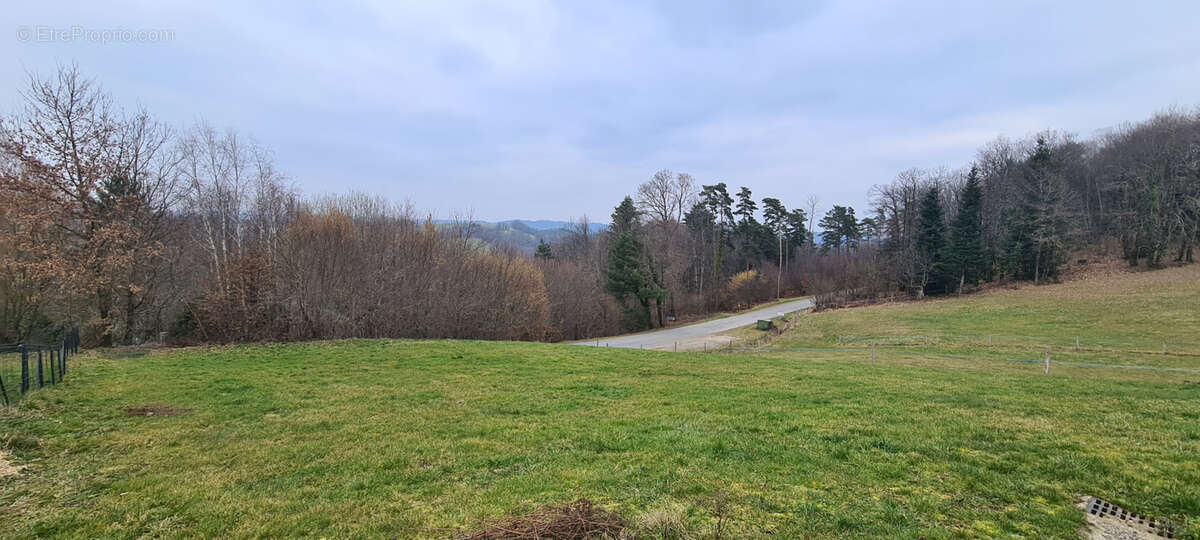 Terrain à ALBUSSAC