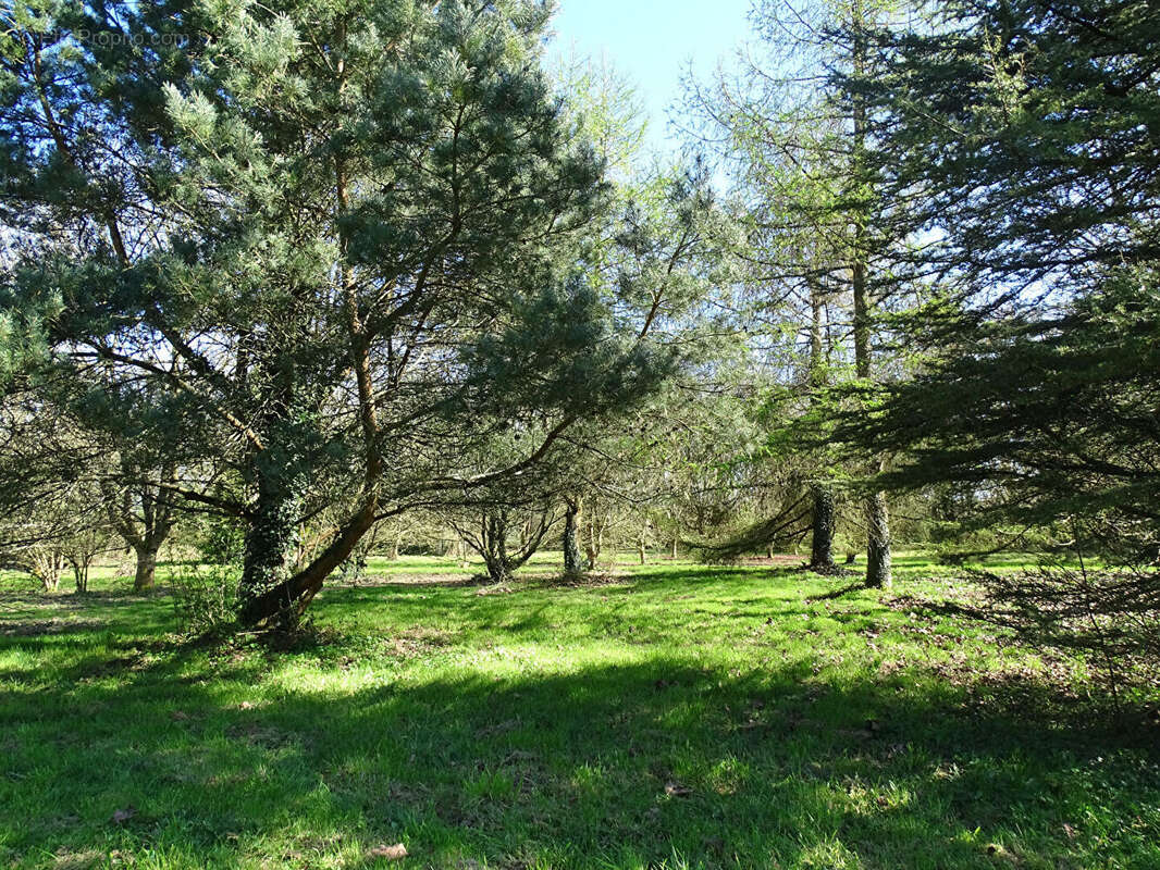 Maison à PLUSSULIEN