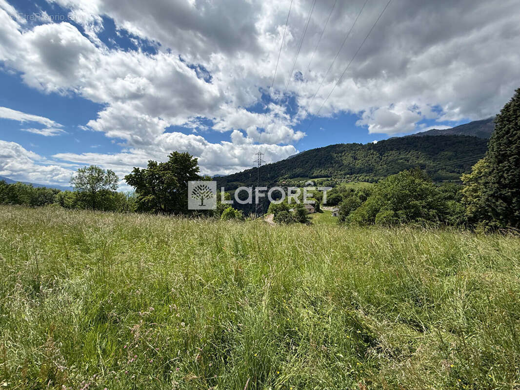 Terrain à CESARCHES