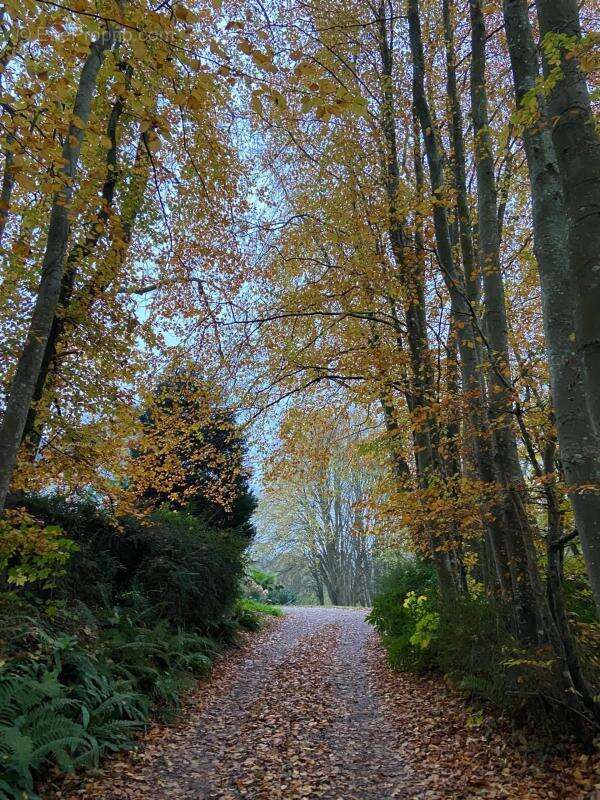 Maison à CHERBOURG-OCTEVILLE