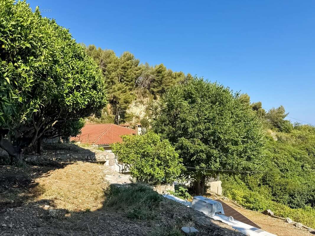 Maison à ROQUEBRUNE-CAP-MARTIN