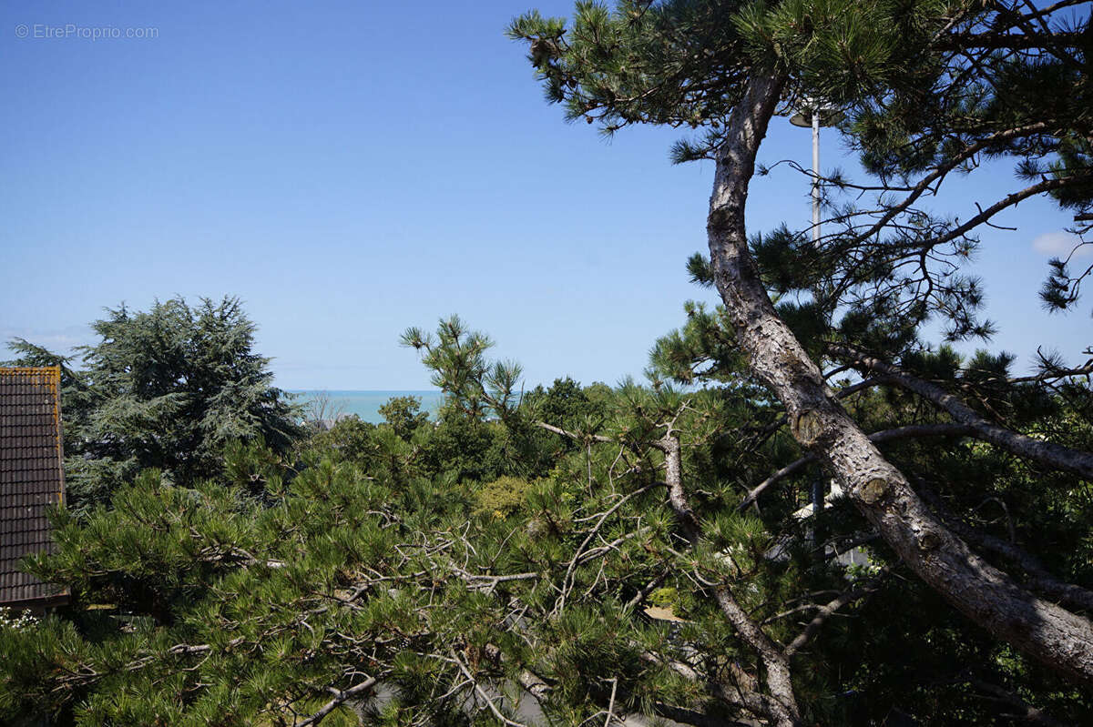 LA MANCHE  Superbe Maison Donville Les Bains 8 pièce(s) 216 m2 - photo 13