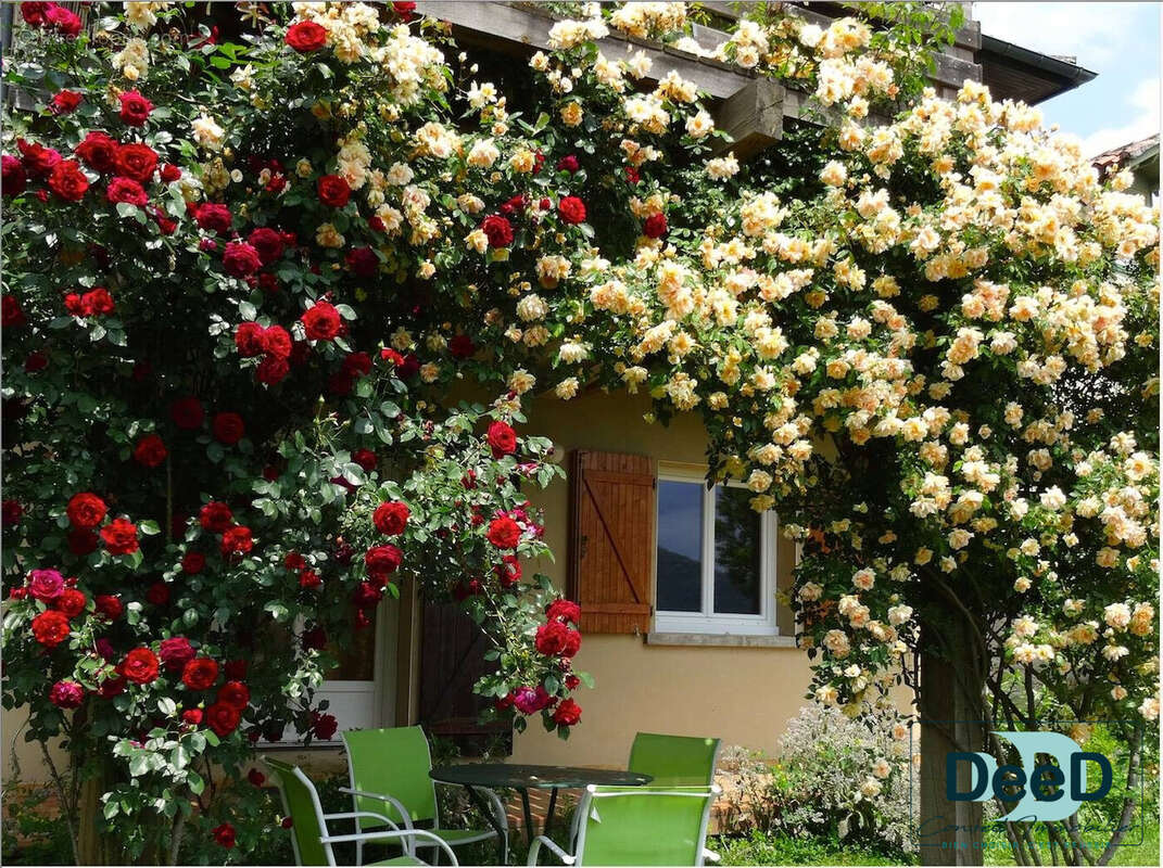 Maison à MONTREJEAU