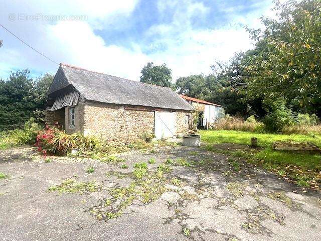 Terrain à NOYAL-MUZILLAC