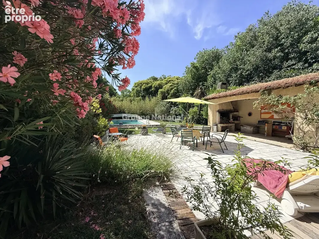 Carpentras — 2 500 m² de terrain constructible pour un projet d’envergure - photo 4