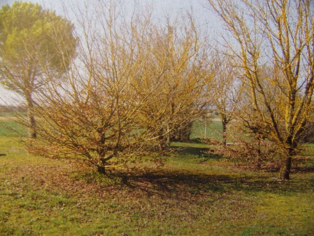 Maison à PAIZAY-NAUDOUIN-EMBOURIE