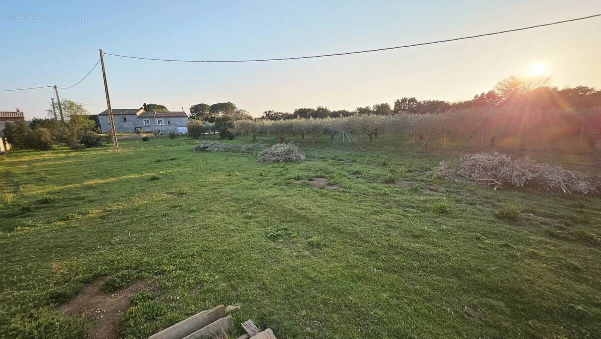 Terrain à SAINT-QUENTIN-LA-POTERIE