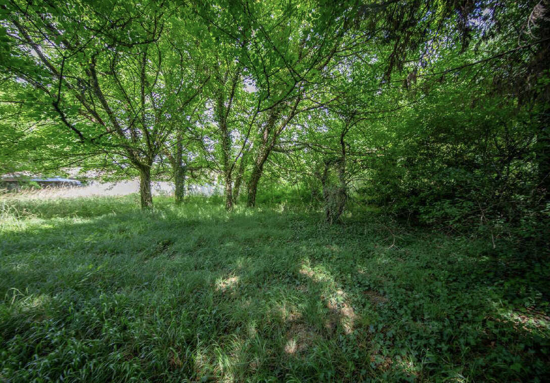 Terrain à LE PIAN-MEDOC