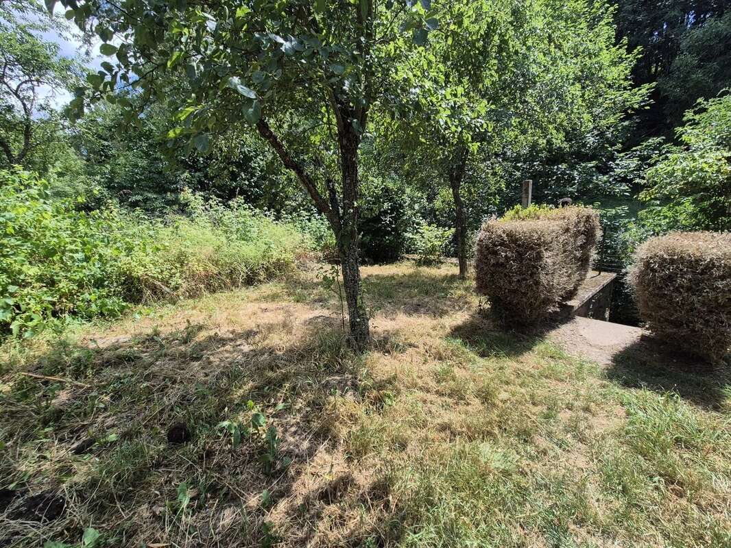 Maison en pierres sur deux niveaux à Laussonne - photo 5