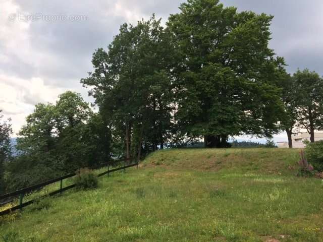 Appartement à RIEDISHEIM