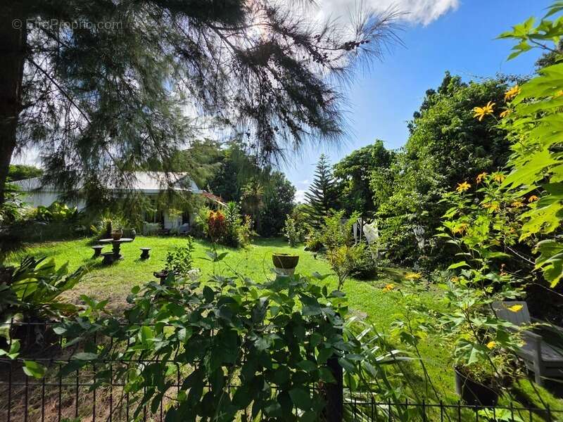 Maison à BAIE-MAHAULT