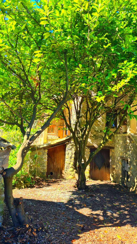 A VENDRE LURS Ancienne ferme en pierres de près de 200 m2  sur 1 ha 845 m2 - photo 4