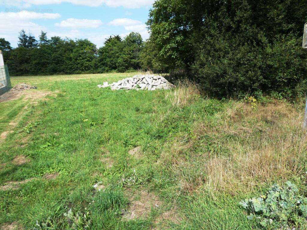 Terrain à bâtir - photo 3