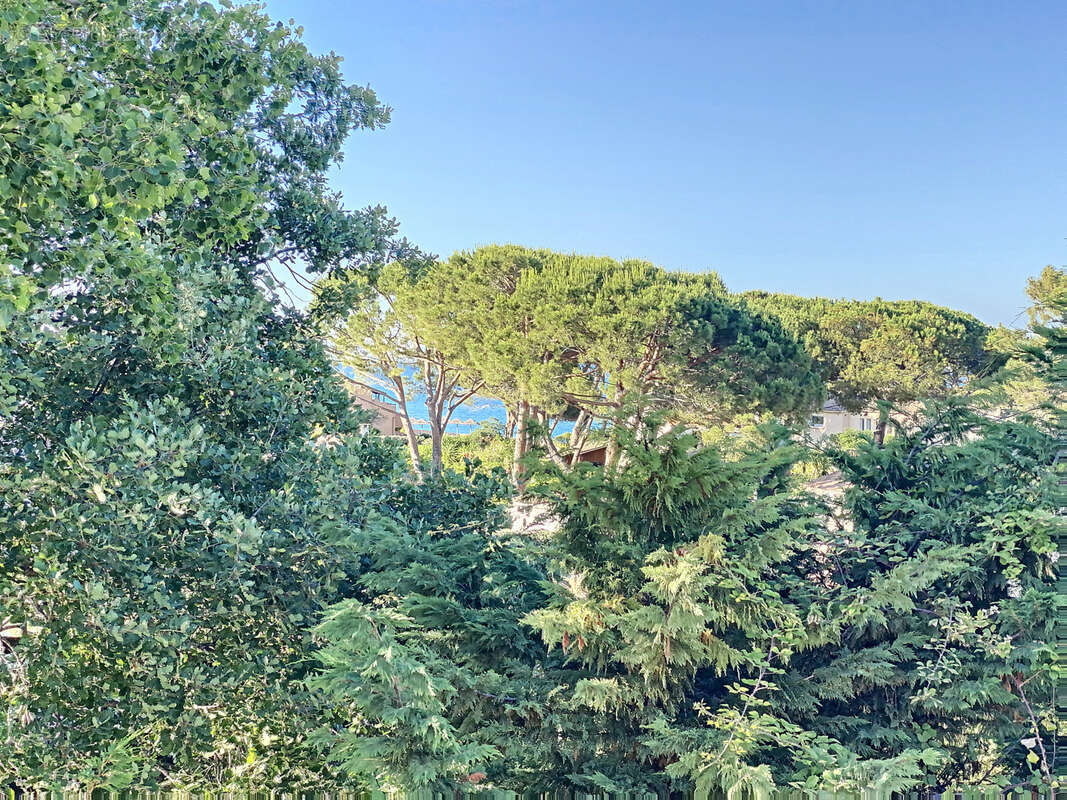 Appartement 40 m² à San-Nicolao  - photo 6