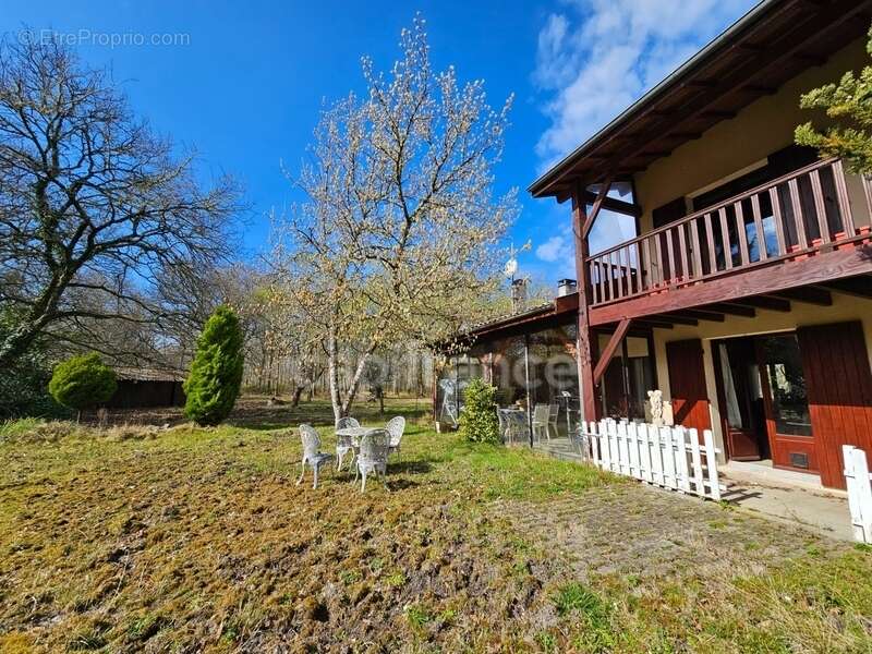 Maison à SALAUNES