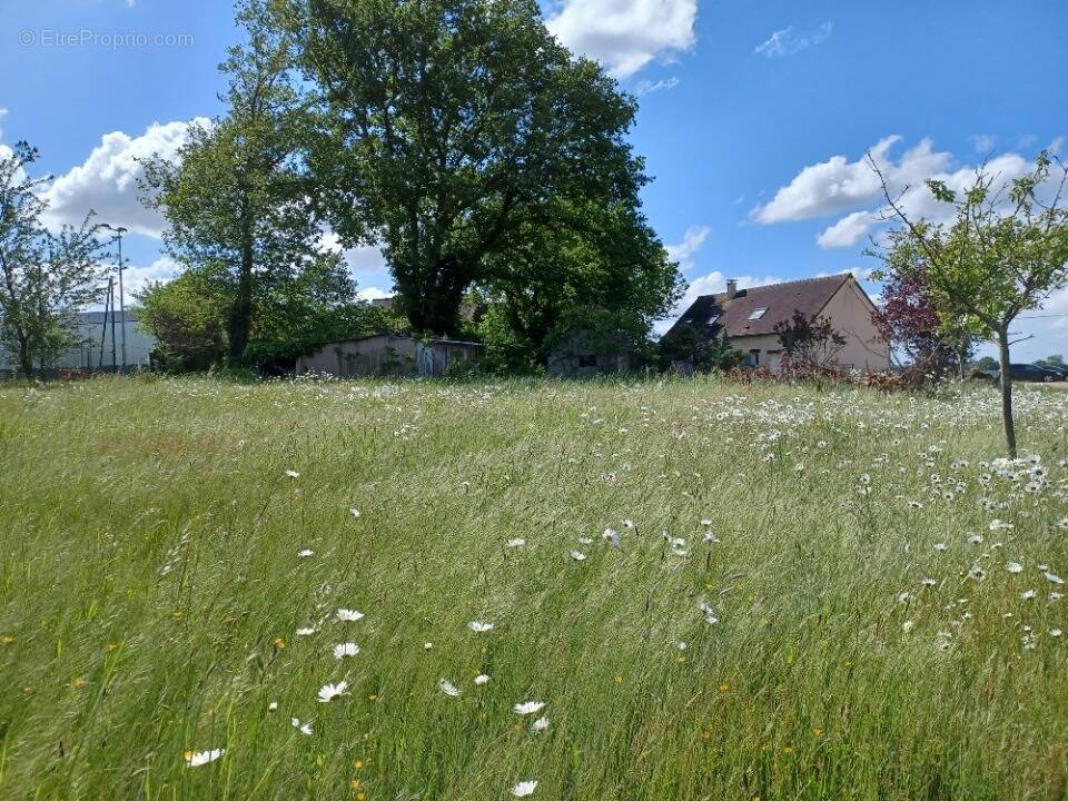 Terrain à JOUE-L'ABBE