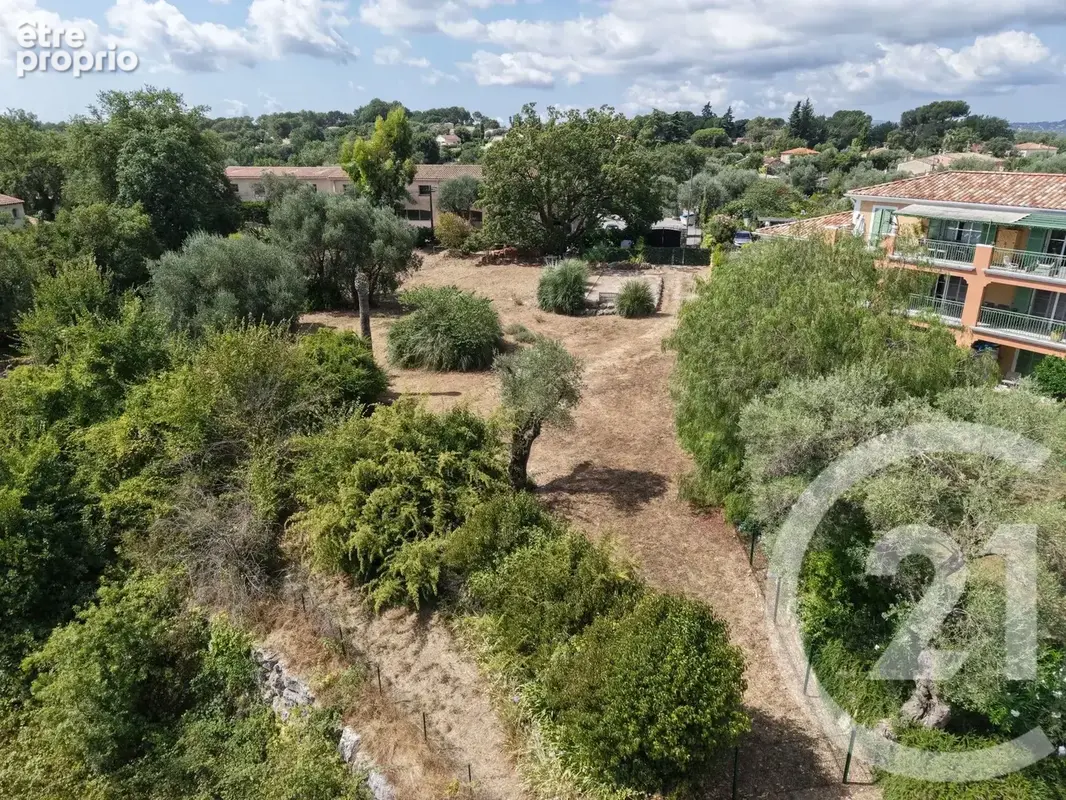 Terrain 2513 m² à Roquefort-Les-Pins  - photo 6