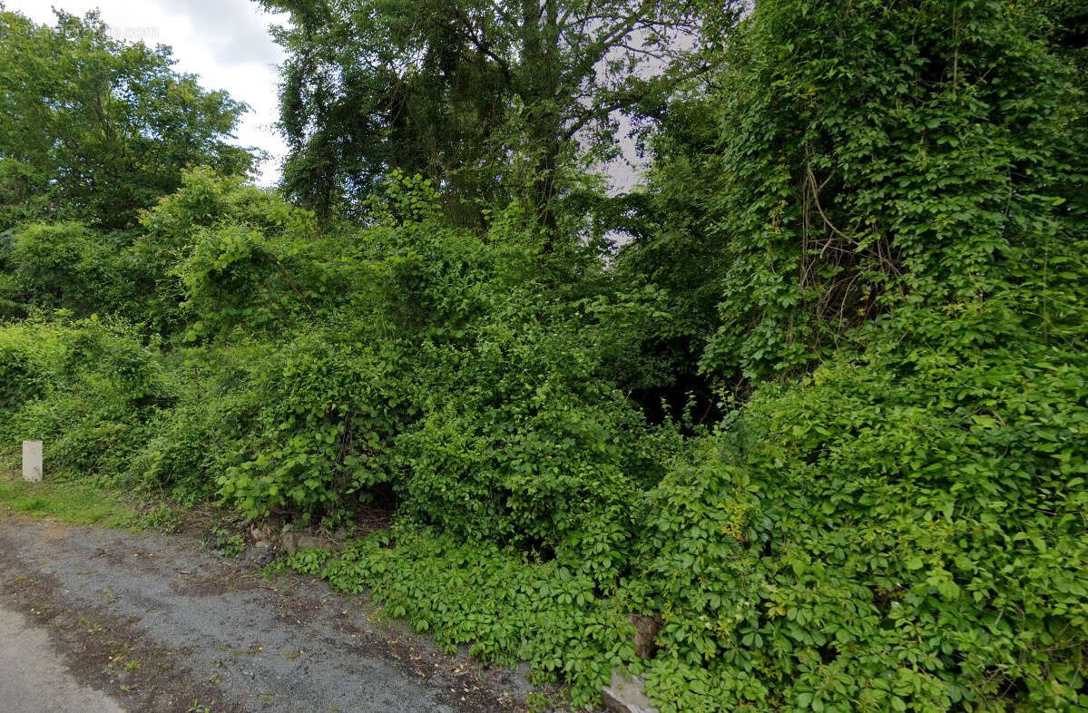 Terrain à VILLERS-COTTERETS