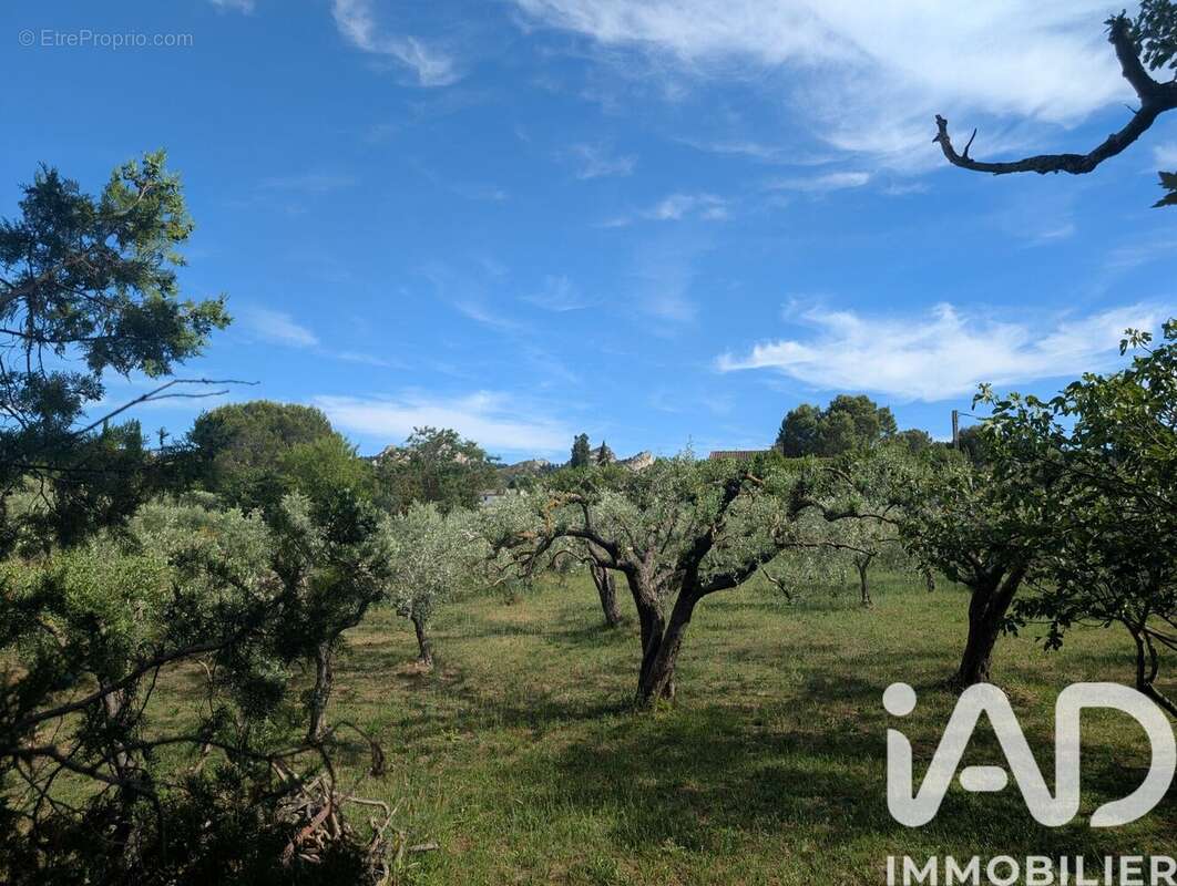 Photo 4 - Maison à SAINT-REMY-DE-PROVENCE