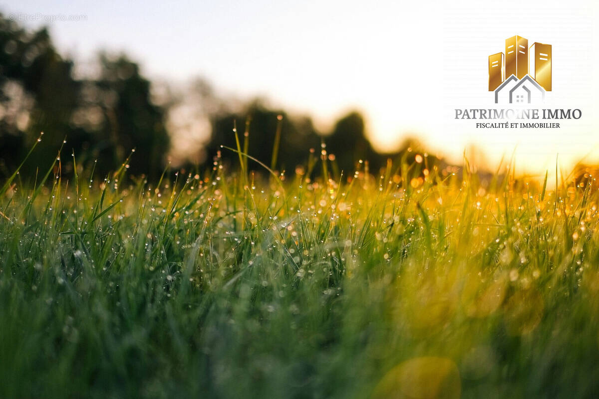 Terrain à L'ILE-BOUCHARD