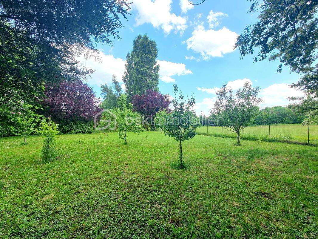 Propriété 14 pièces, 8 chambres, granges, cave et jardin - photo 21