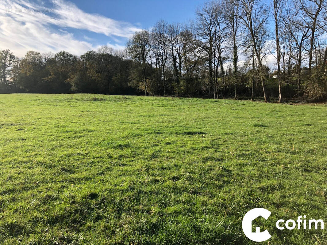 Terrain à SOUMOULOU