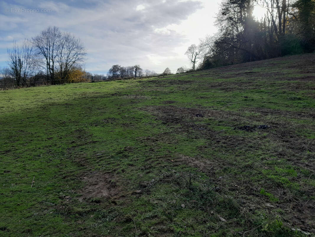 Terrain à POUEYFERRE