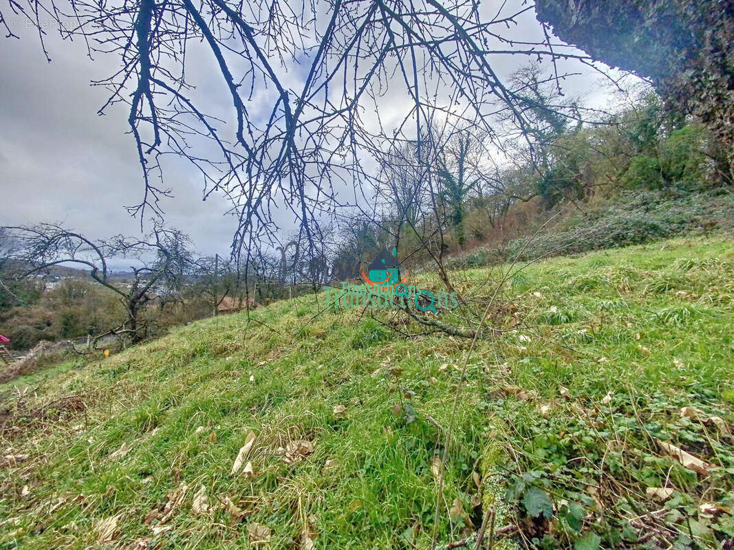 Terrain à LILLEBONNE