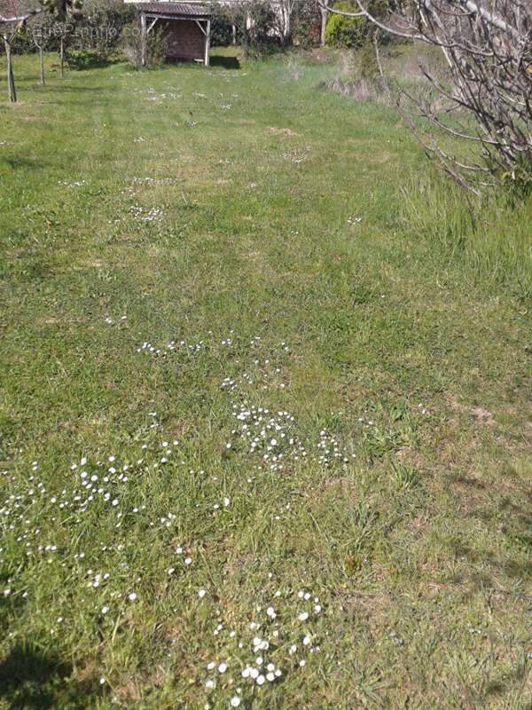 Terrain à SAINT-SULPICE-SUR-LEZE