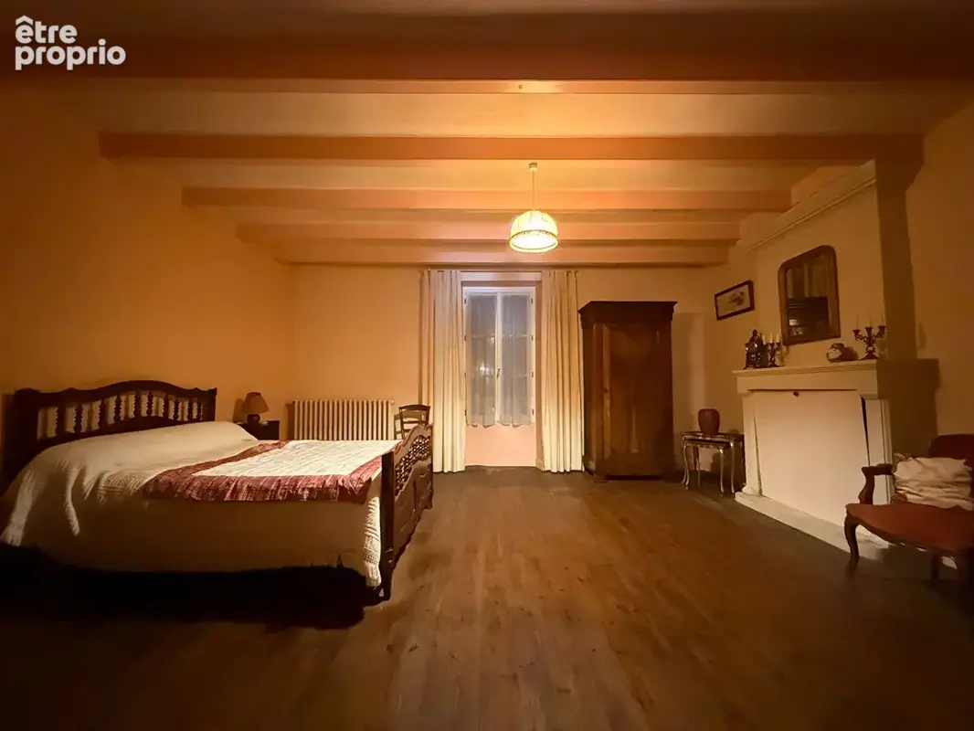 Maison 398m² à saint-hilaire-la-palud - photo 9