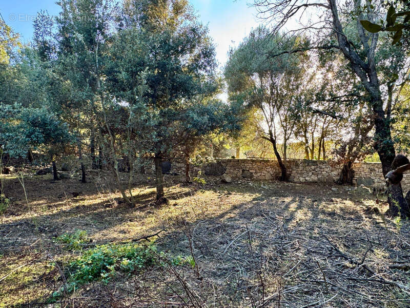 Terrain 3250 m2 avec batiment de 200m2 habitables à vendre, proche de L'ILE ROUSSE (20) - photo 12