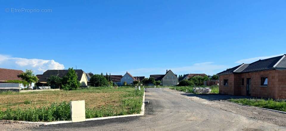 Terrain à BINDERNHEIM