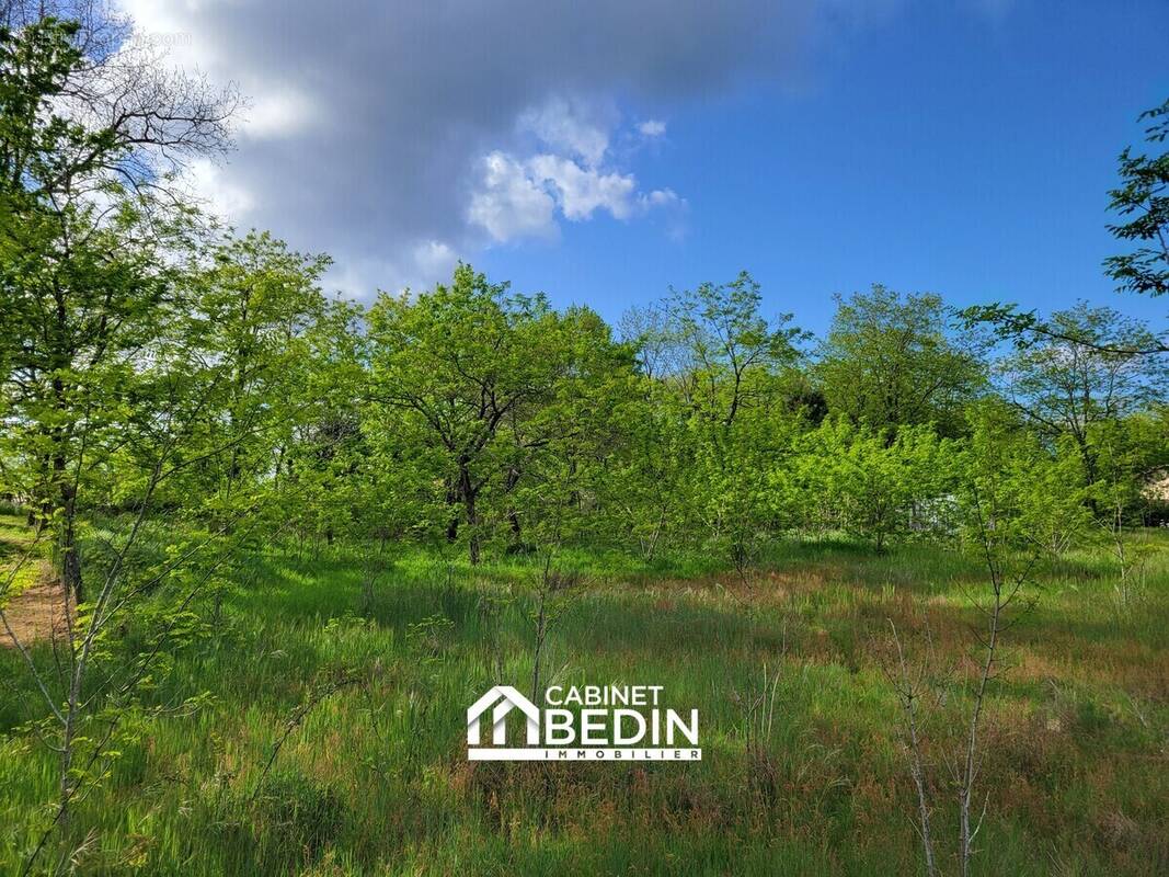 Terrain à BELIN-BELIET