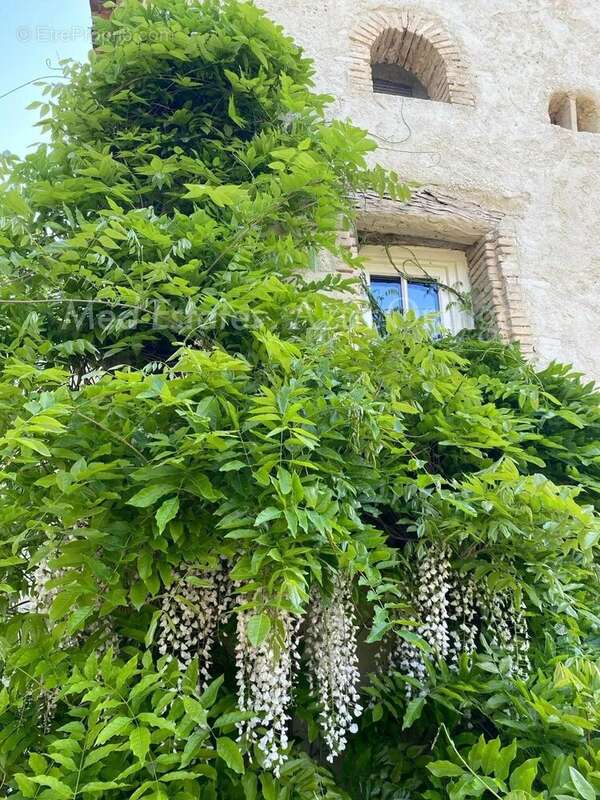 Maison à LA GARDE-FREINET