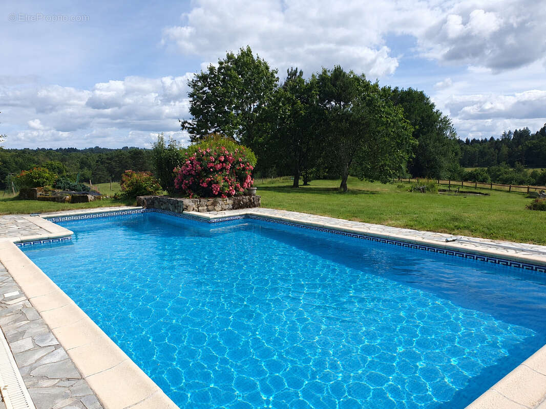 Magnifique propriété du 17éme, 2,5 ha prairie attenant, piscine, proche bourg tous commerces. - photo 20