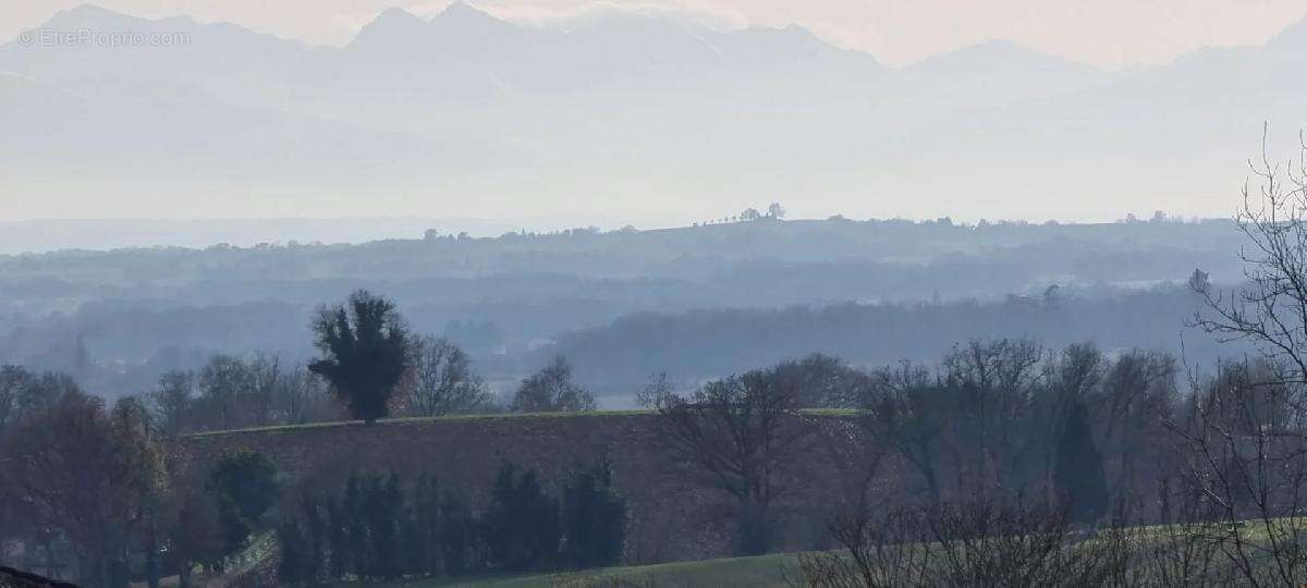 Terrain à MIRAMONT-D'ASTARAC