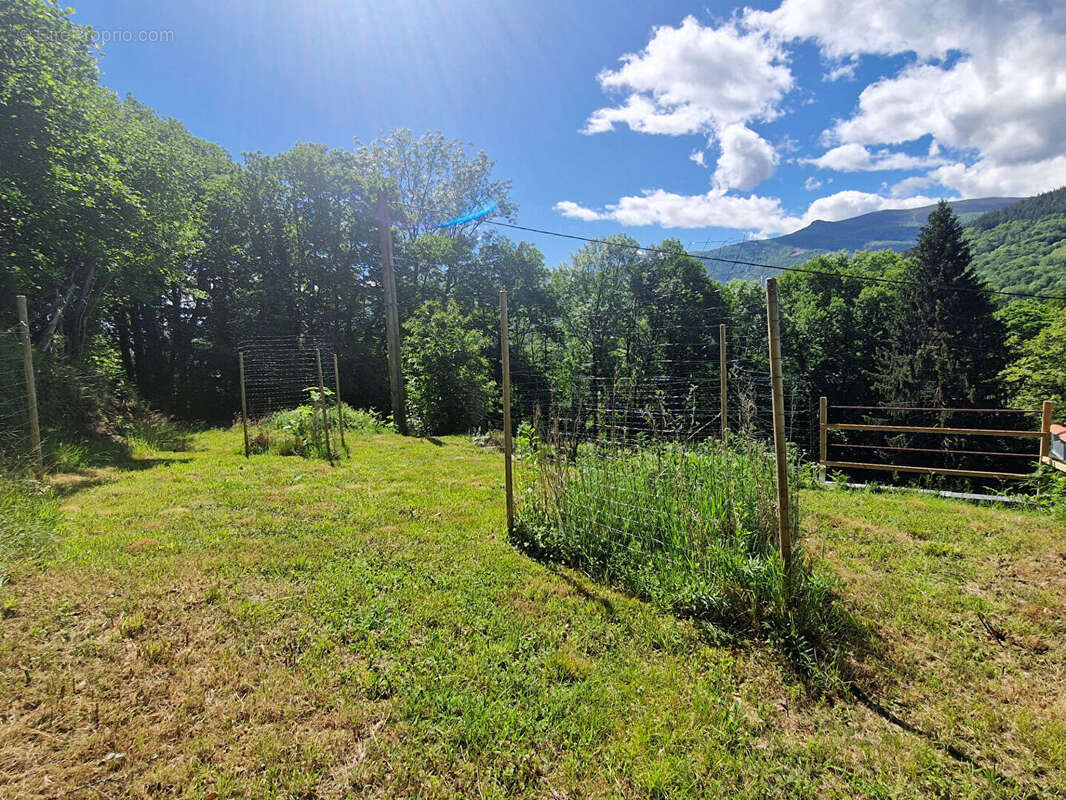 Plain pied de 2016 avec jardin et dépendance - photo 18