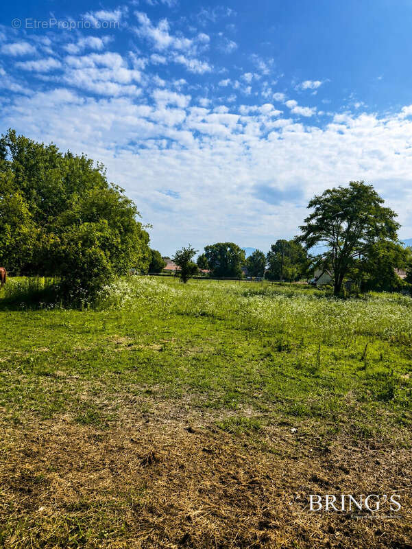 Terrain 720 m² à Lumbin  - photo 2