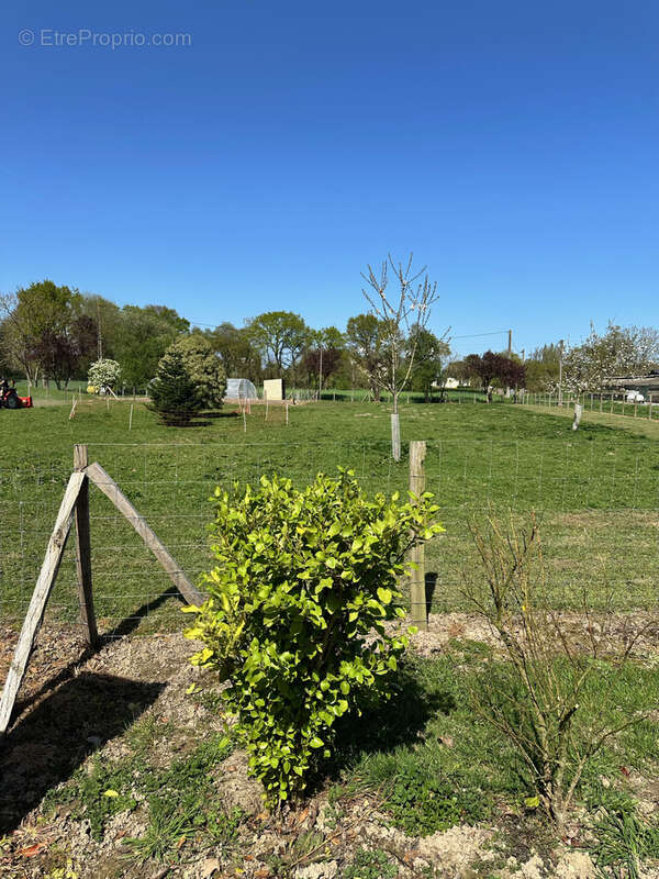 Maison à SAINT-POTAN