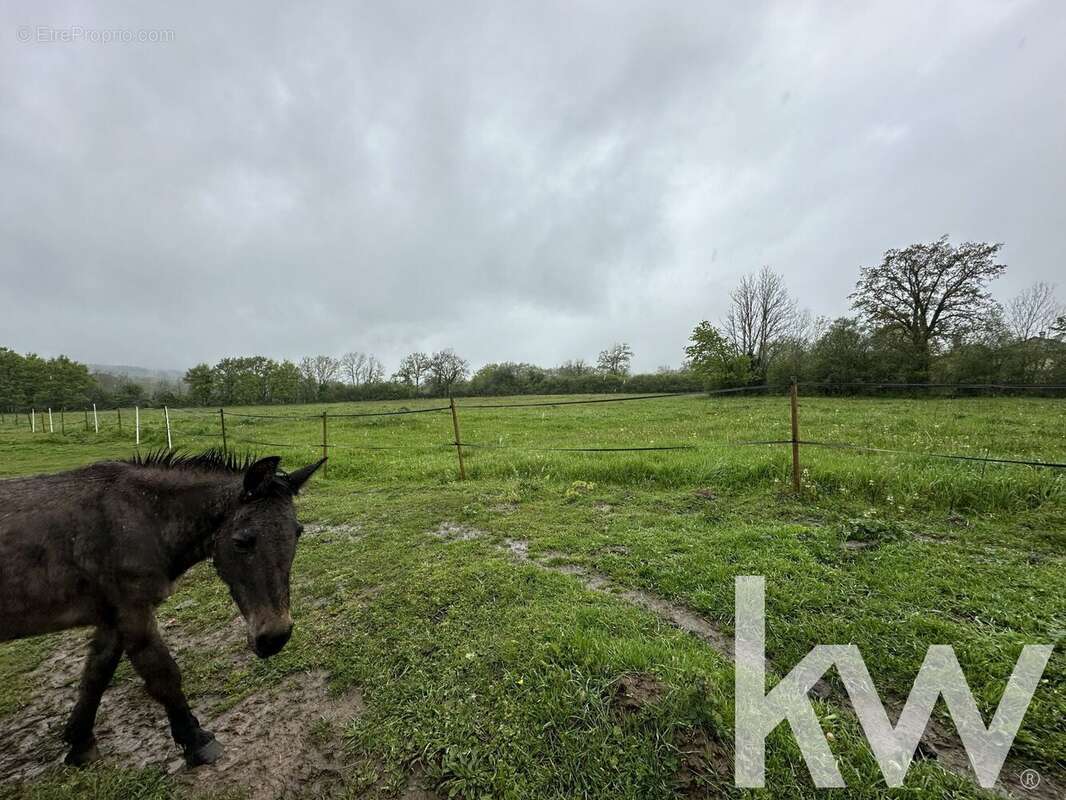 Terrain à CHARBONNIERES-LES-VIEILLES