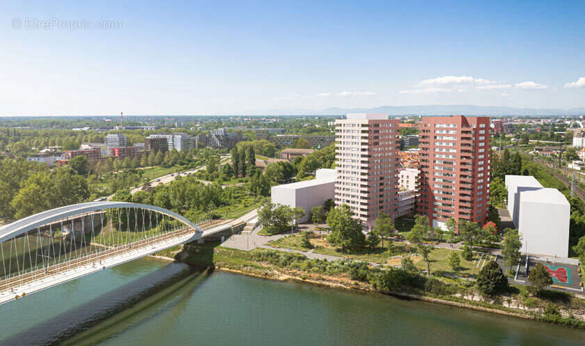 Les escales du rhin à Strasbourg