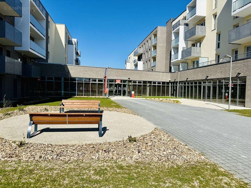 La plume de samara à Amiens