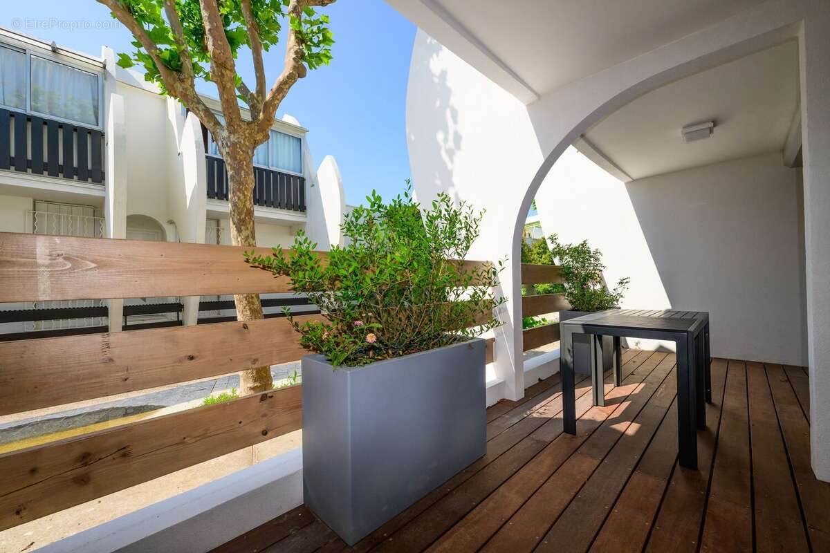 Nymphéa à La Grande Motte