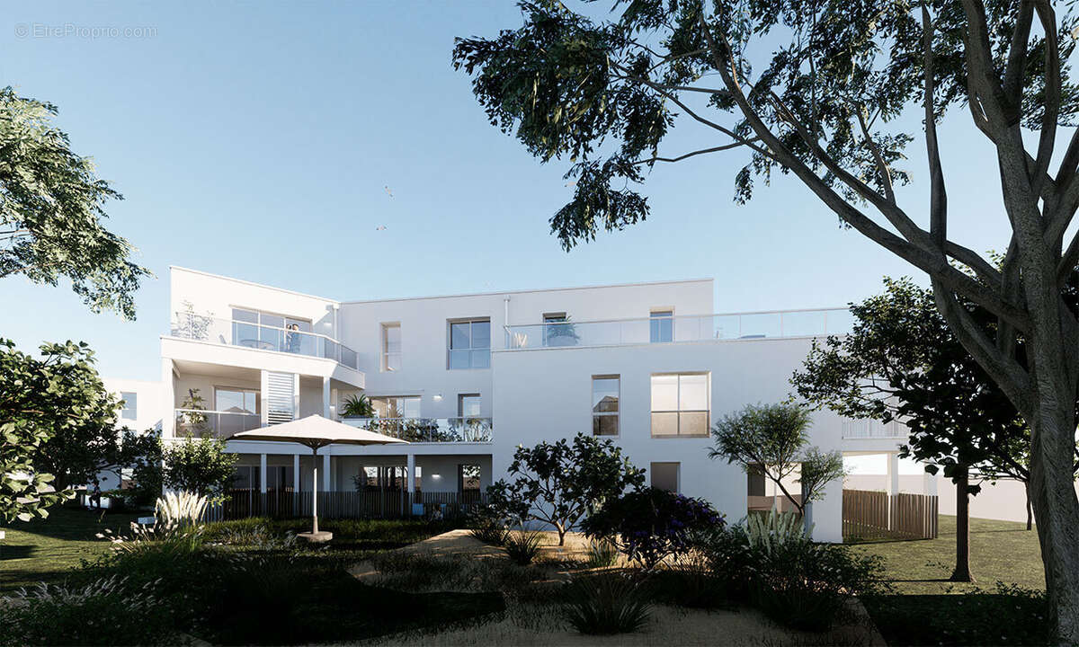 La marjolaine à La Turballe