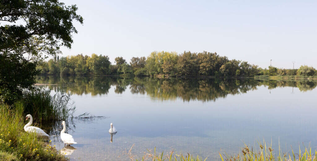 Les terrasses de la victoire à Ambares Et Lagrave